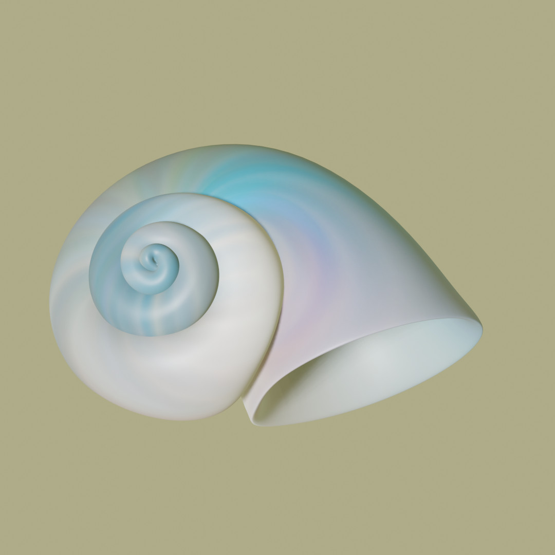 Seashell